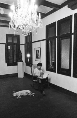 Como el ave fénix, y como la cigarra también: apogeo, caída y resurrección de La Casa Aboy